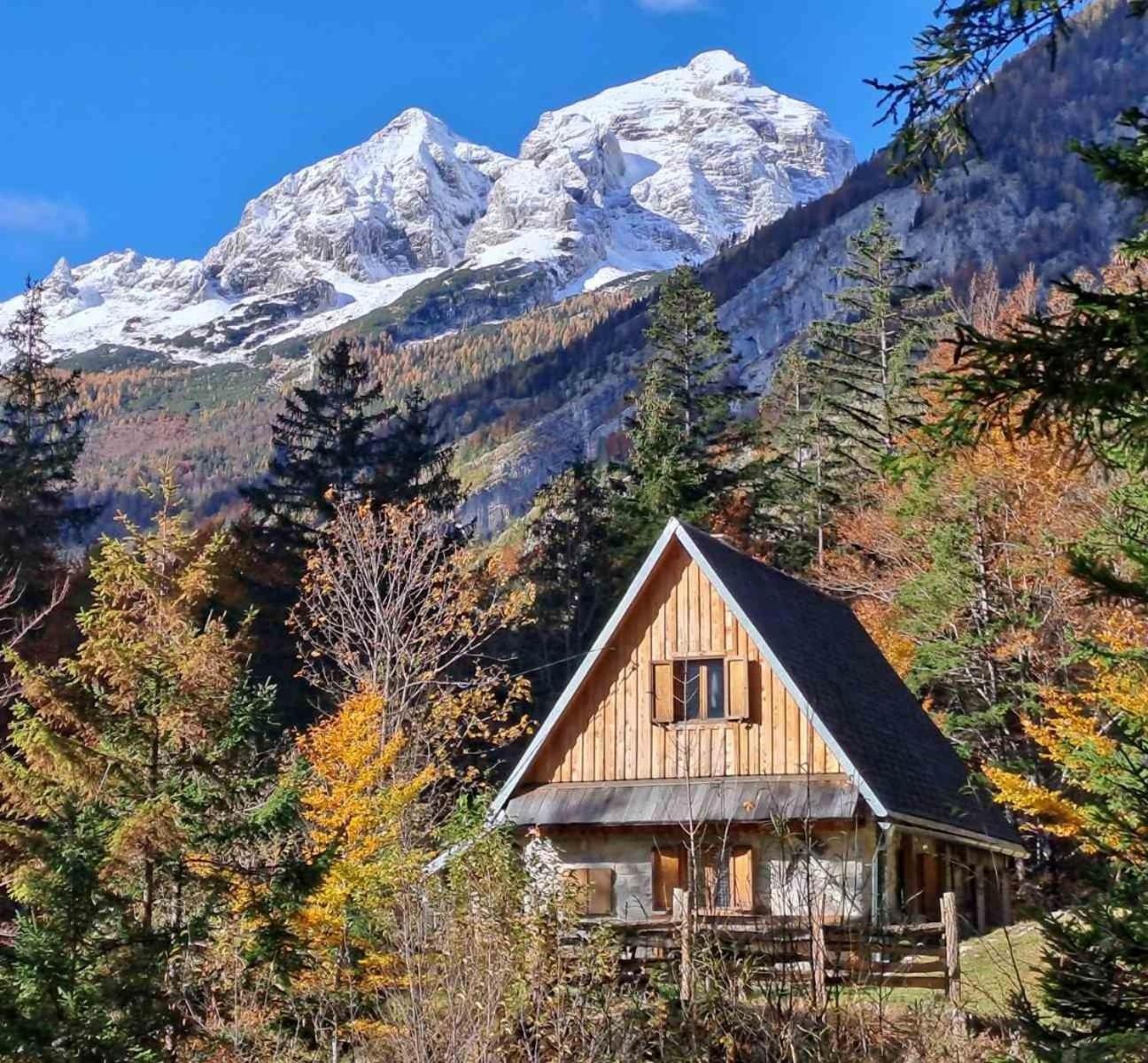 Cozy Private Cabin In The Heart Of Triglav National Park Trenta Eksteriør bilde