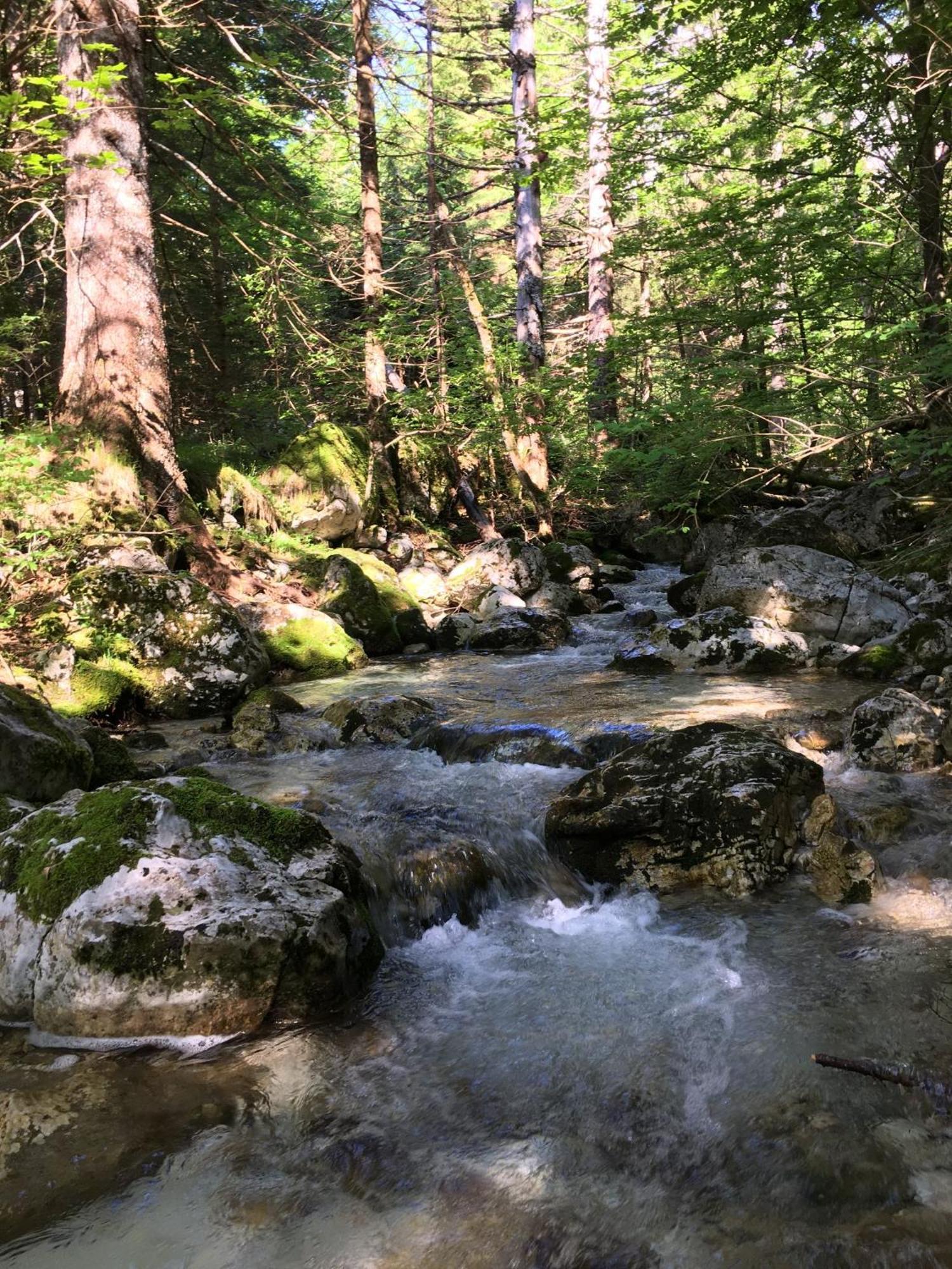 Cozy Private Cabin In The Heart Of Triglav National Park Trenta Eksteriør bilde